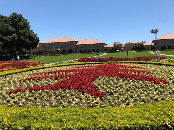Stanford University Campus Tour 3