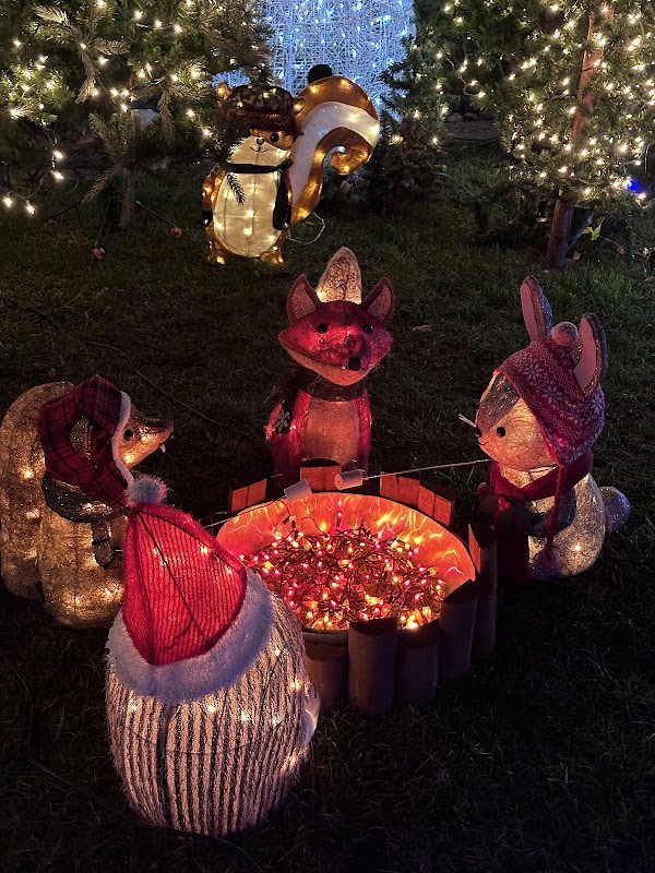 Christmas Tree Lane 2