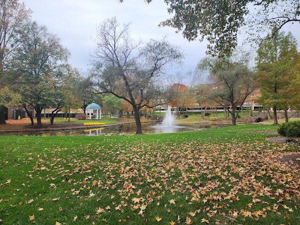 Lotus Pond in Carnegie Center 3