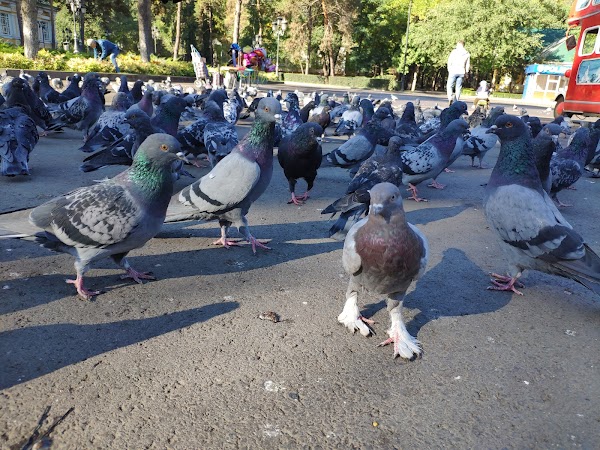 Park of 28 Panfilov Guardsmen 4