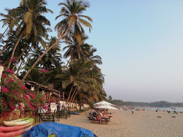Palolem Beach, GOA 4