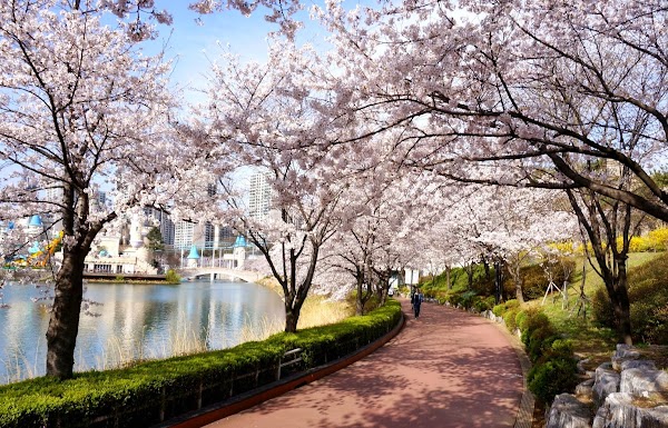 Seokchon Lake 2