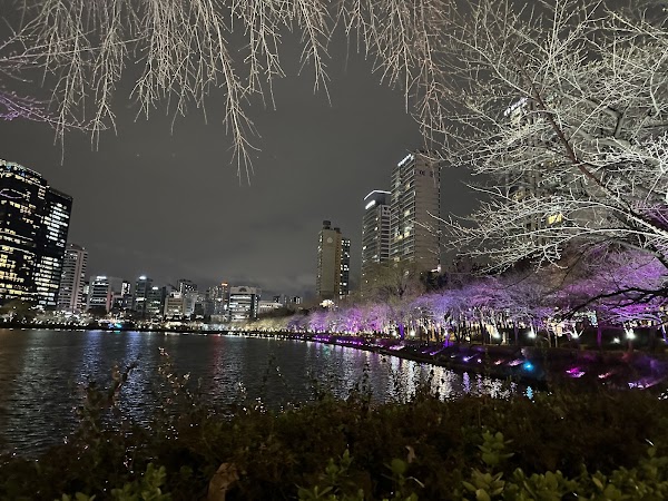 Seokchon Lake 3