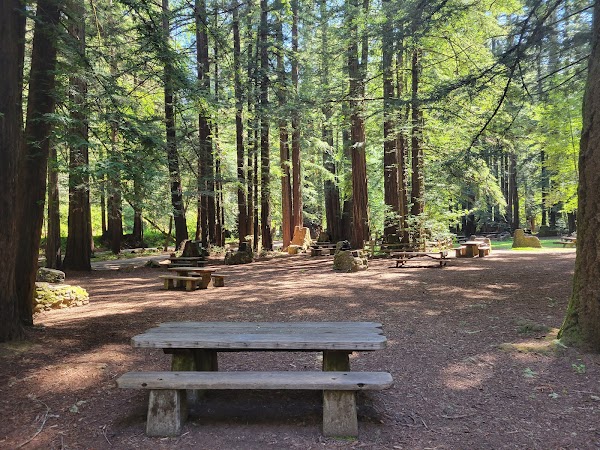 Samuel P. Taylor State Park 1