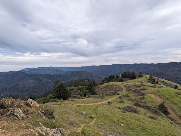 Samuel P. Taylor State Park 4