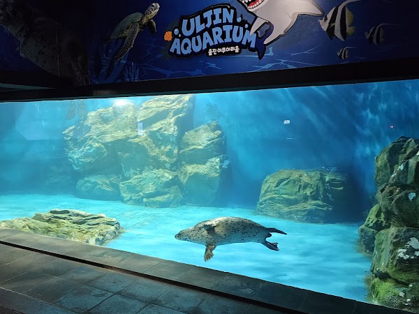 울진아쿠아리움 4