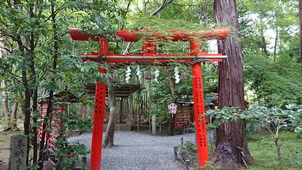 Arashiyama Bamboo Forest 4