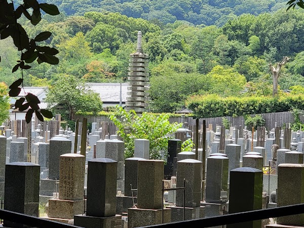 Arashiyama Bamboo Forest 3