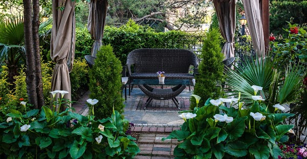 Aurora Restaurant Ortaköy 2