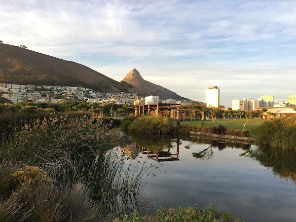 Green Point Park 4