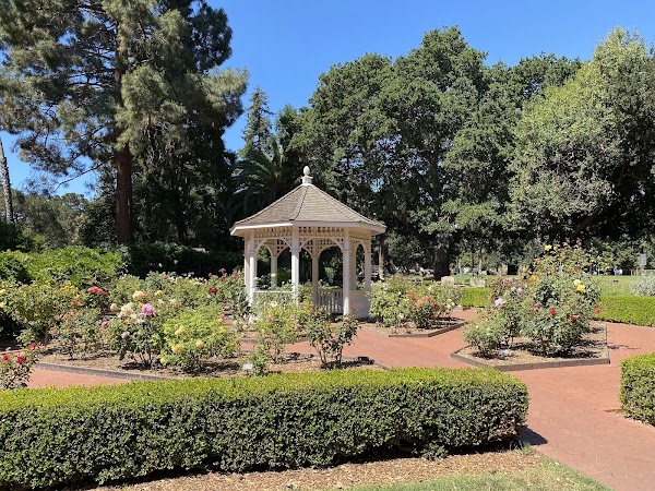 San Mateo Central Park 6