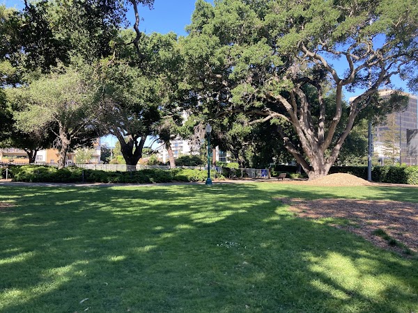 San Mateo Central Park 4