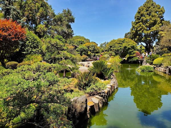 San Mateo Central Park 3