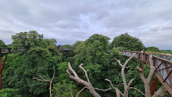 Treetop Walkway