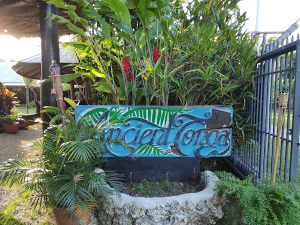 Ancient Tonga 4