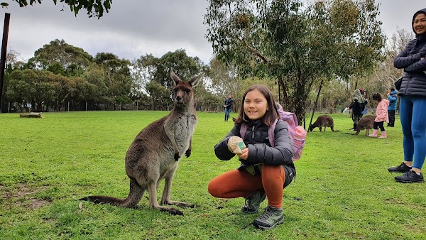 Cleland Wildlife Park 5