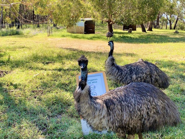 Cleland Wildlife Park 4