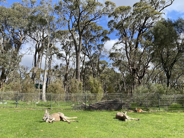 Cleland Wildlife Park 3