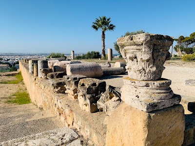 Carthage National Museum