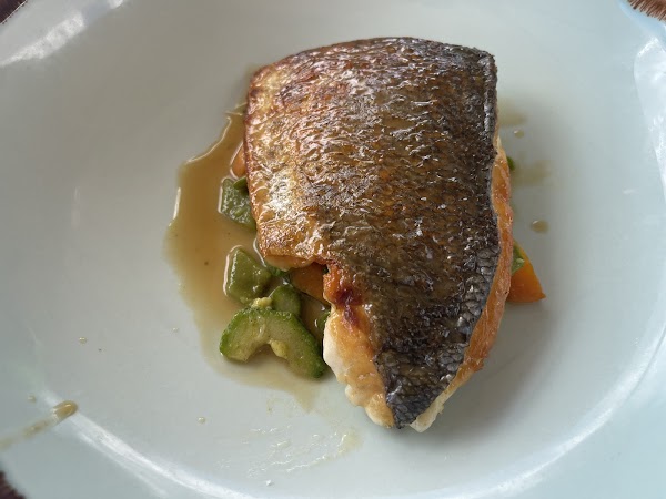 47 Circus Roof Garden 5