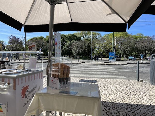 Flor dos Jerónimos 1