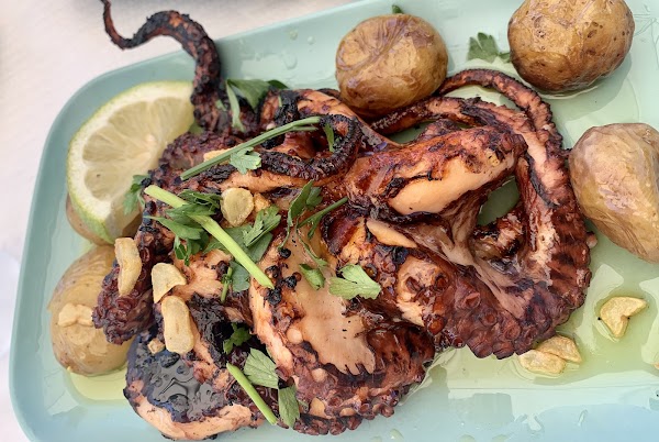 Flor dos Jerónimos 3