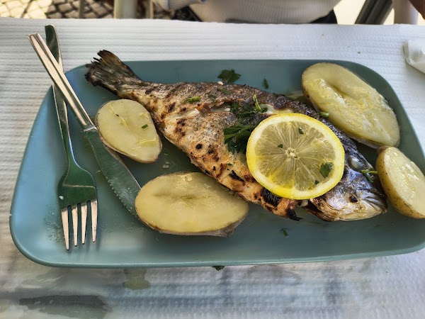 Flor dos Jerónimos 2