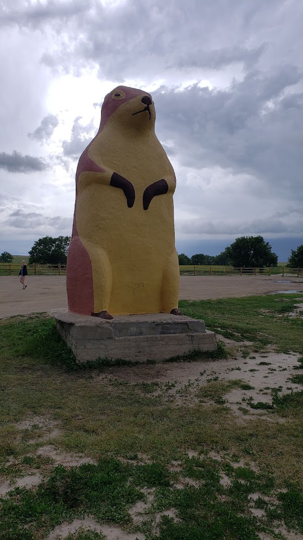 Prairie Dogs Field 5