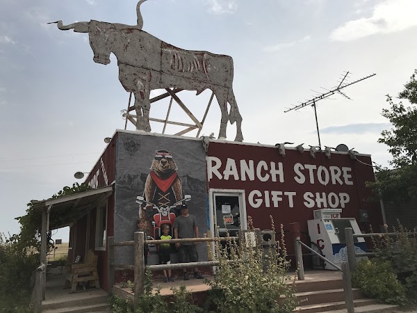 Prairie Dogs Field 2