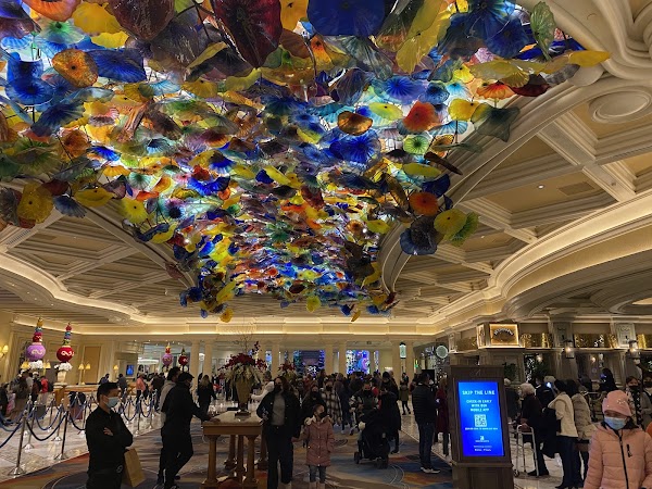 Fountains of Bellagio 5