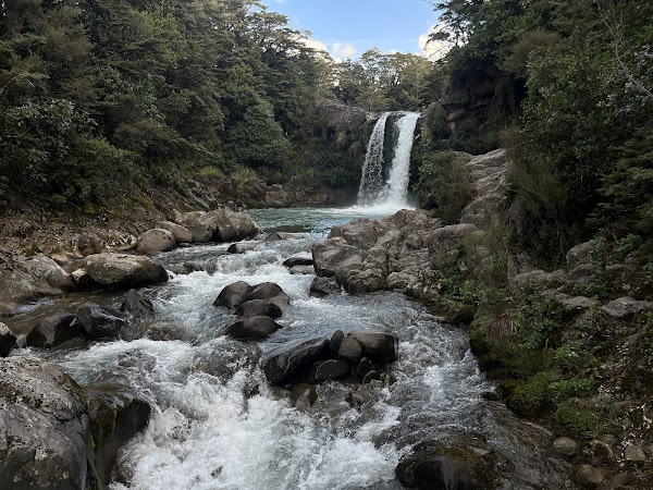 Tawhai Falls (Gollum's Pool)