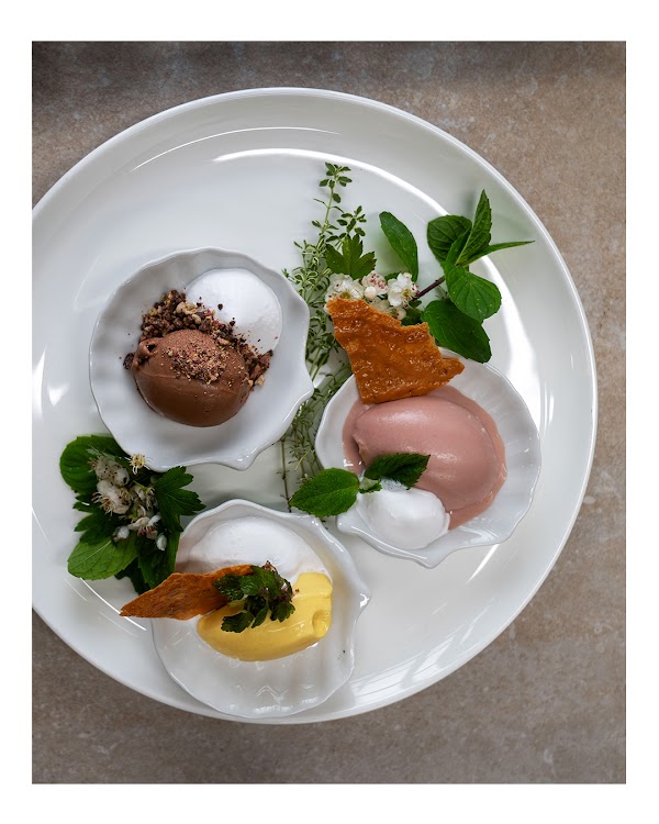 Stefan Haas Fine Dine 5