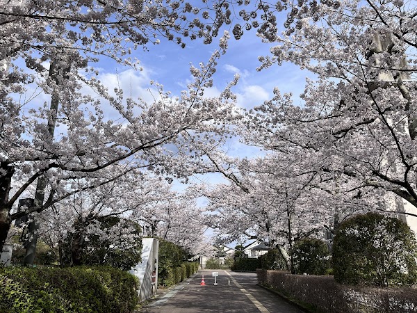 Ritsumeikan University