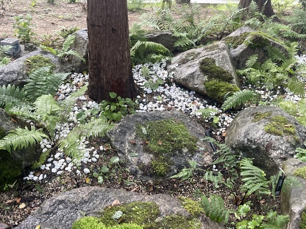 Yangjaecheon Cafe Street