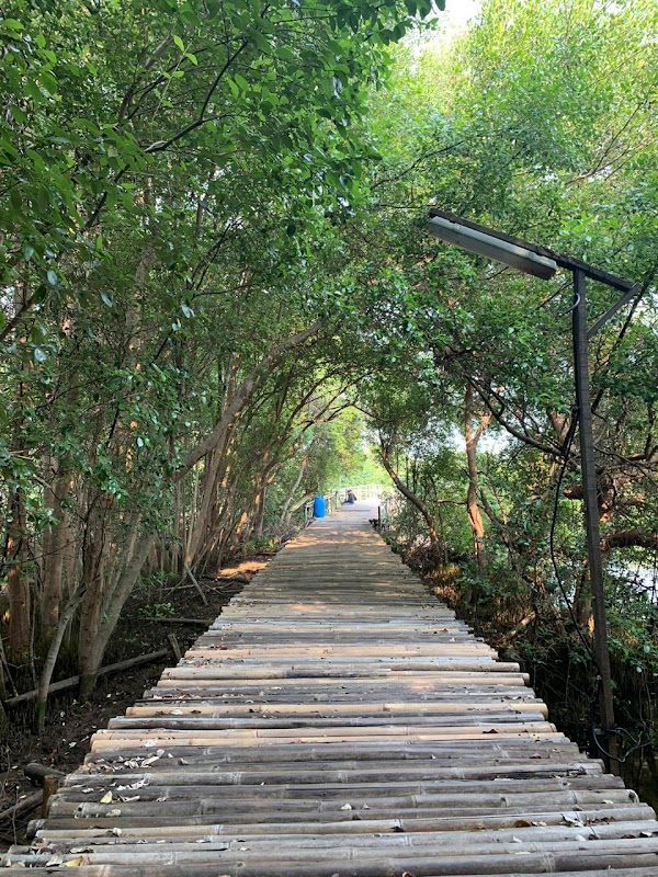 Mangrove Ecotourism Centre PIK