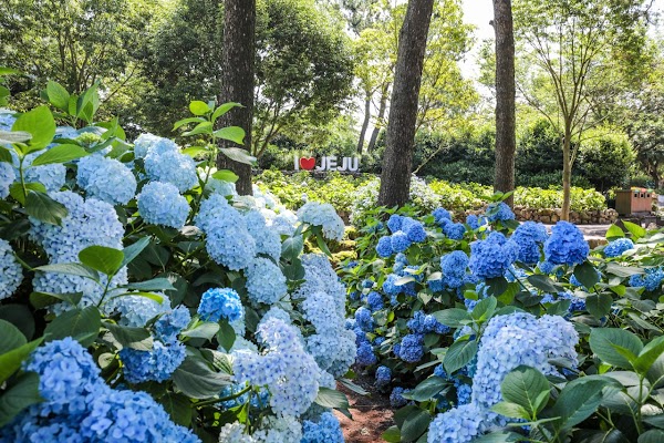 Hueree Nature Life Park 1