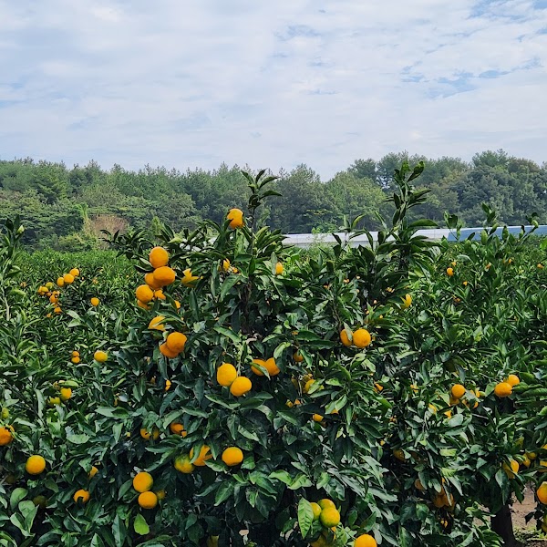 Hueree Nature Life Park 5