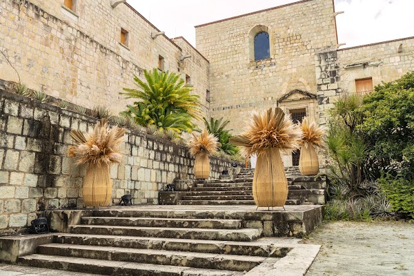 Jardín Etnobotánico de Oaxaca 2