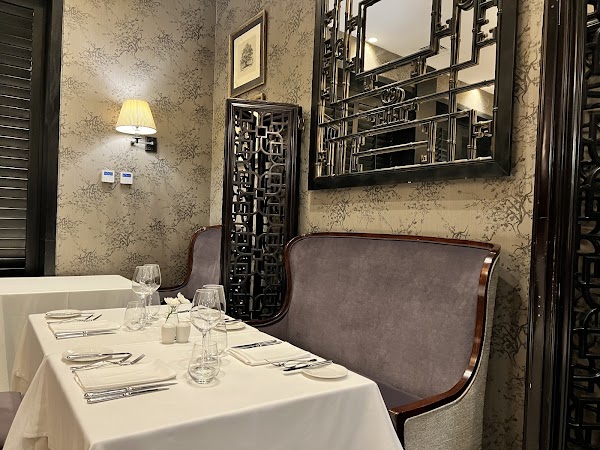 The Singular Restaurant 1