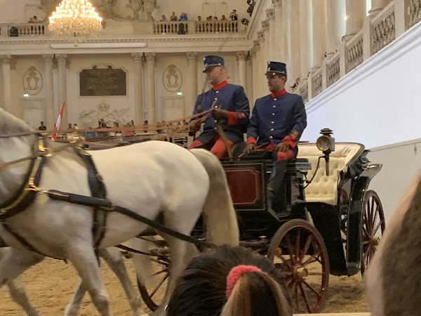 Spanish Riding School 6