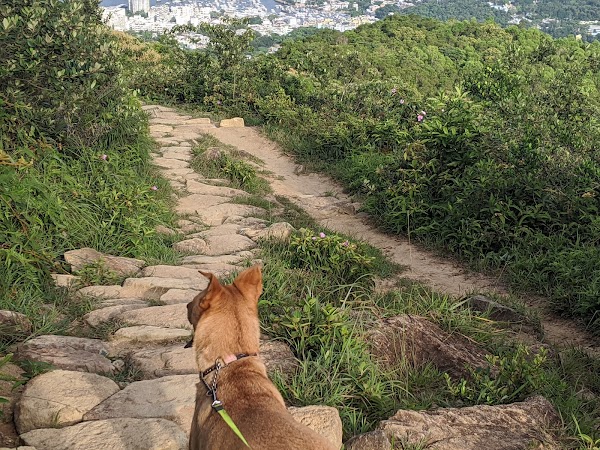 Ma On Shan Country Trail (Starting Point)