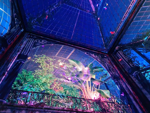 The Butterfly Trail at Outernet 1