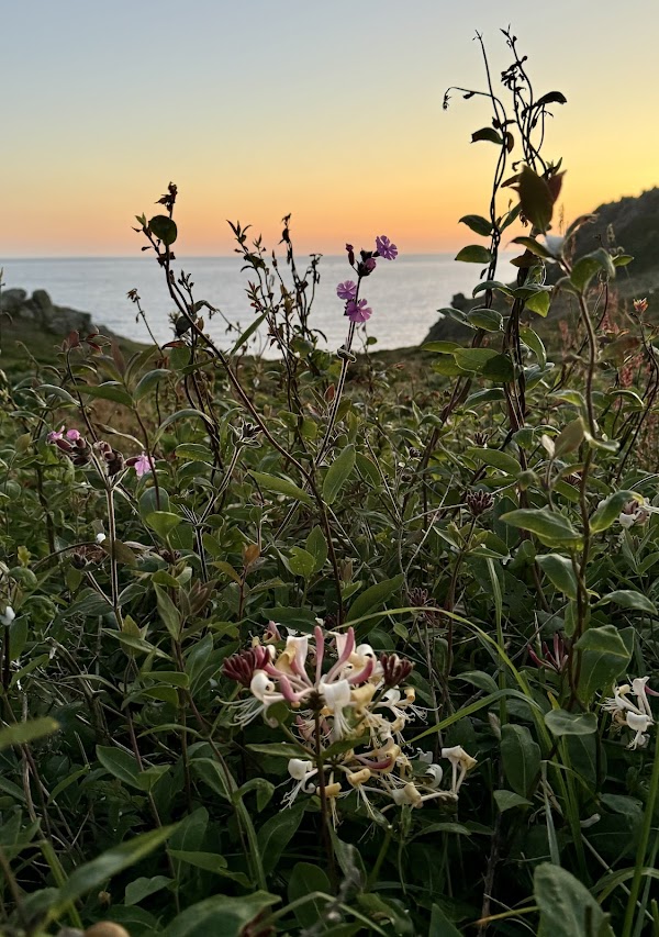 South West Coast Path