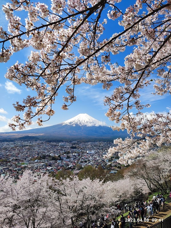 Arakurayama Sengen Park 6