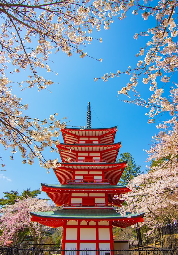 Arakurayama Sengen Park 5