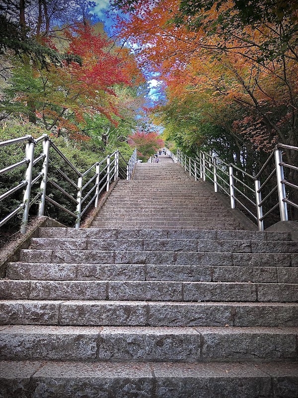 Arakurayama Sengen Park 3