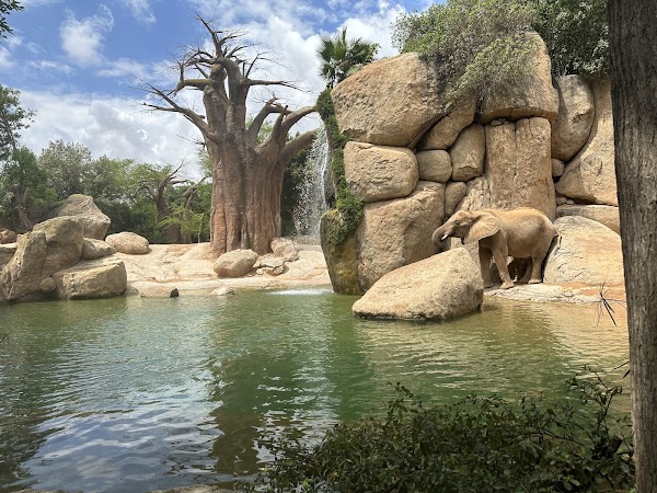 Bioparc Valencia 1