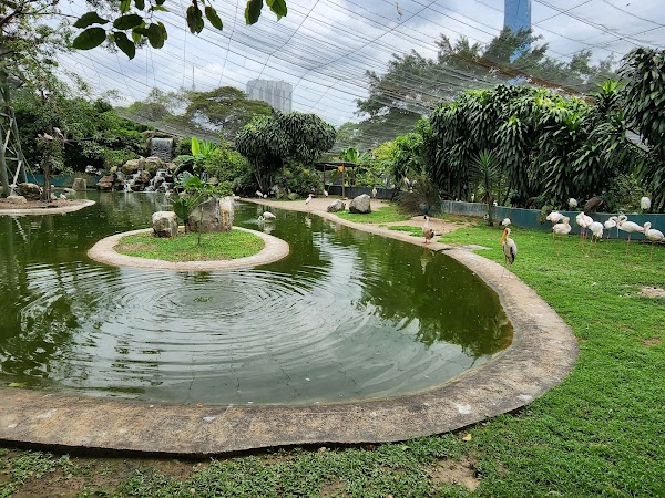 KL Bird Park 1
