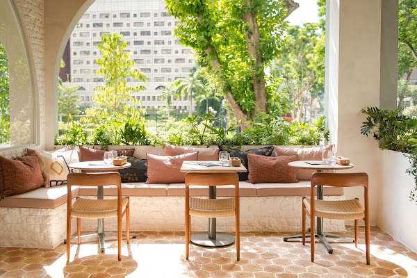 MERCI MARCEL ORCHARD 1