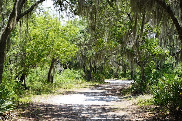 Split Oak Forest Wildlife and Environmental Area